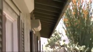 Битва за недвижимость 2 сезон 19 серия