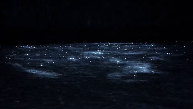 Пляж 2000 г (Саундтрек All Saints Pure Shores)