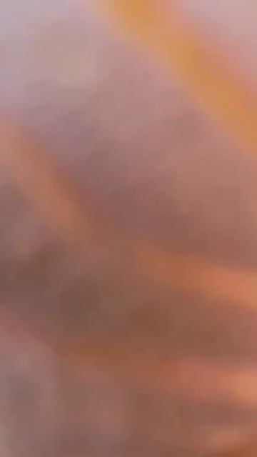 Покраска после шлифовки дерева песком, рубленное брев