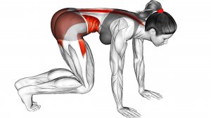 Растяжка всего Тела (упражнения на растяжку)