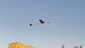 Тренировка