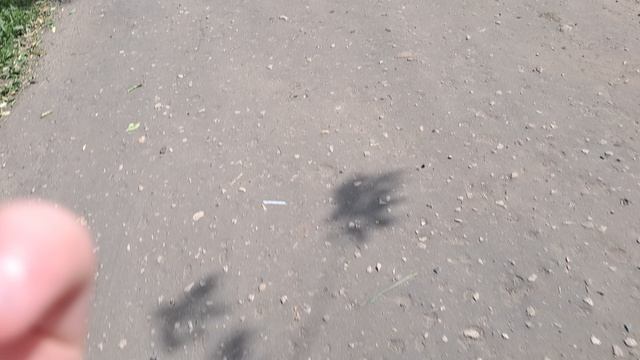 совкшка смотреть онлайн