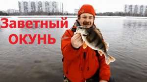 Константин Кузьмин. Заветный окунь (Graphiteleader Rivolta), 2012 год