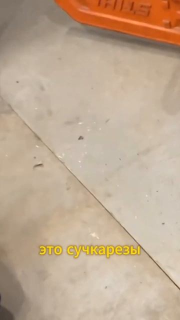 Какие пилы нужны в Арбористике смотреть онлайн