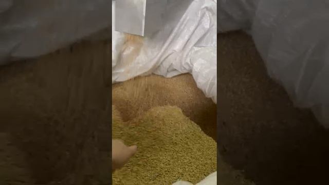 Ч. 2 Калибровка по удельному весу для зеленой чечевицы