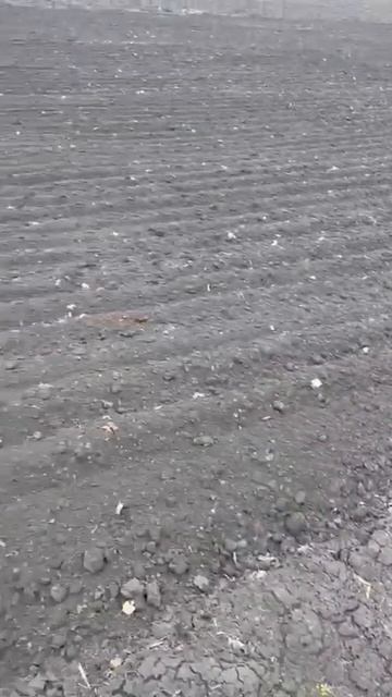 шлейф-борона ТИРЕКС #сельскоехозяйство смотреть онлайн