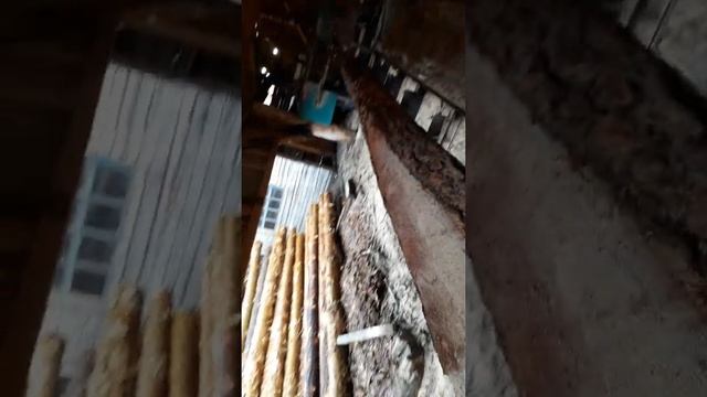 ленточный пилорама смотреть онлайн