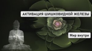АКТИВАЦИЯ ШИШКОВИДНОЙ ЖЕЛЕЗЫ | Открытие Портала в Высшие Измерения