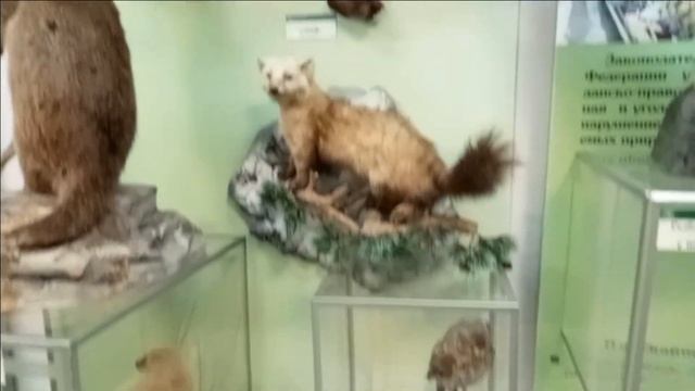 Маленькая Швейцария Кузбасса. Междуреченск-Мыски. Час смотреть онлайн