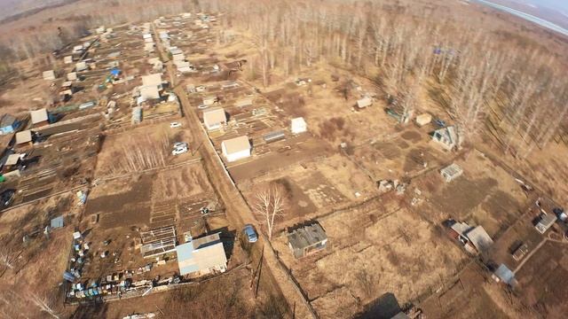 Полетал с птичками