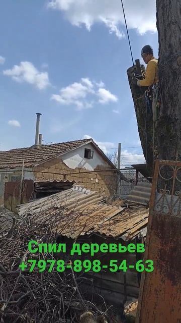 спил деревьев Симферополь +7978 898 5463 смотреть онлайн