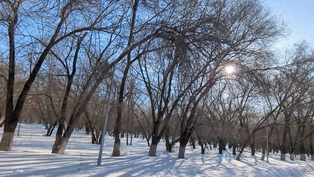 Раз уж на квартиру накопили теперь брату помогите за м
