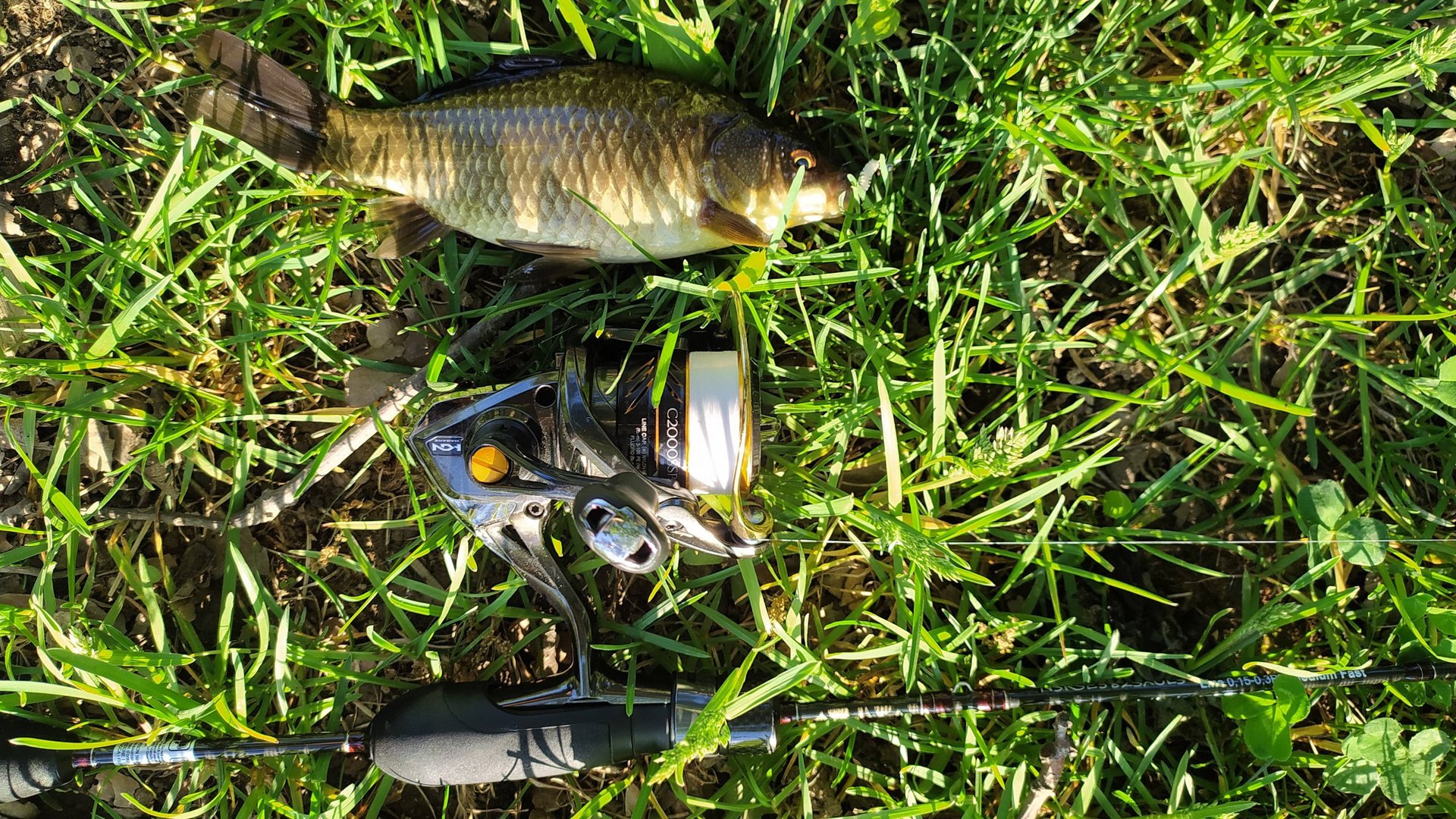 Пруды у метро Тютчевская, разведка