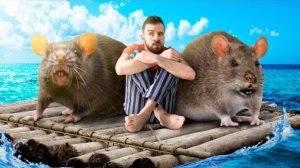 НА МОЕМ ПЛОТУ ЗАВЕЛИСЬ КРЫСЫ