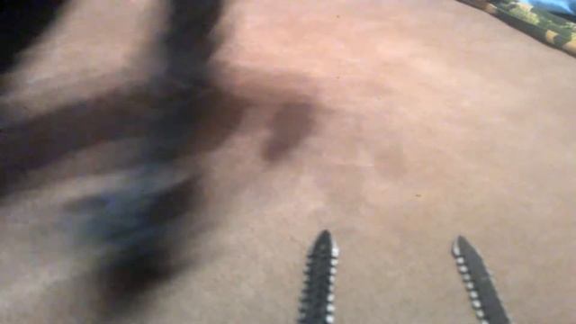 Игрушка с алиэкспреса бродяга смотреть онлайн