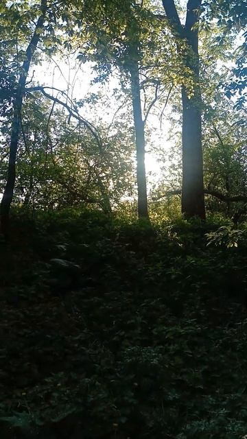 РЫБАЛКА МЫ СНОВА НА НОЛЬКЕ! РЕКА МАЛАЯ КОКШАГА! 17.05.2025 ГОДА! ЧАСТЬ-6 #fishing #рыбалка смотреть онлайн