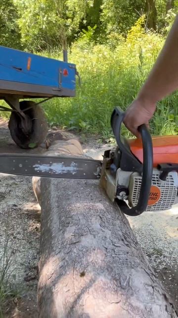 STIHL - MS 250 в роботі смотреть онлайн
