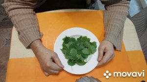 Целебный отвар и настой из берёзовых листьев. Создано с участием искусственного интеллекта.