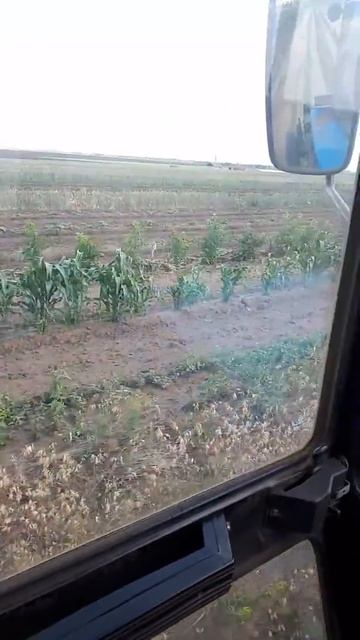 Про кпш 3 смотреть онлайн