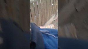 Челендж!!! Связал ДРУЗЬЯМ ноги скотчом