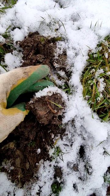 Рубль на Симплексе смотреть онлайн