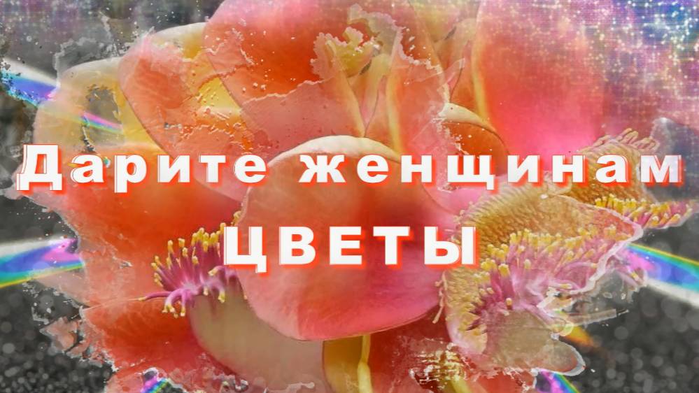 Дарите женщинам цветы, ПРЕМЬЕРА ПЕСНИ