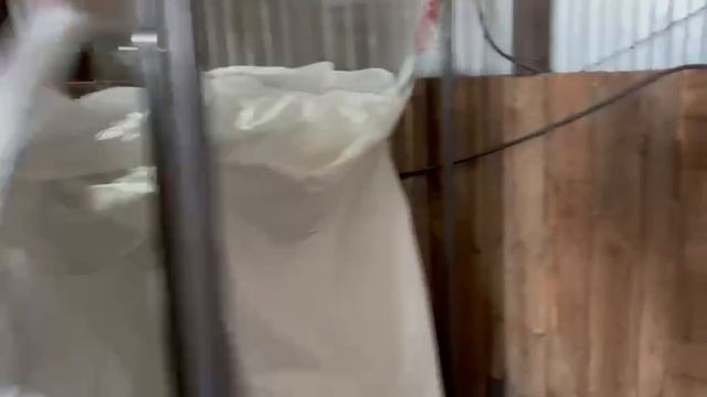 Мобильный Семенной Сервис