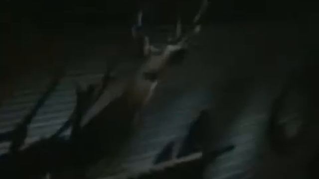 Leningrad Cowboys - Зловещие мертвецы II & III (Evil Dead, Ash) смотреть онлайн