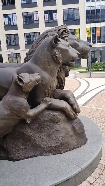 Интересные дома Санкт-Петербурга