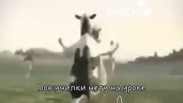 мы с пацанами на уроке смотреть онлайн