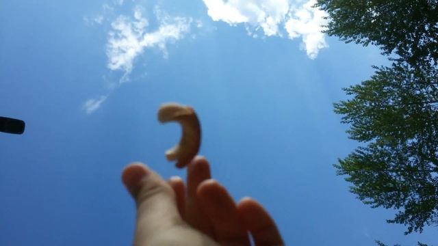 Ловкие руки