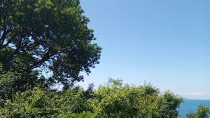 Море красивый вид с берега