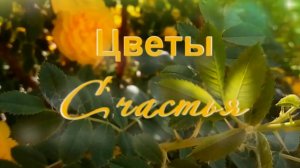 20 марта международный день счастья. Цветы счастья, красивая музыка