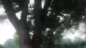 Медитация  для   раскрытия   талантов  и  способностей  .