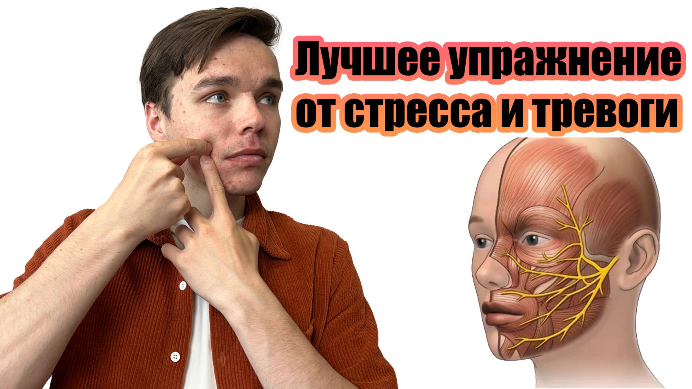Как снизить тревогу и напряжение: убираем за 5 минут через тело