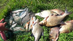 Ловля ЛЕЩА на ФИДЕР 2025 ! Рыбалка на Оке! Рыбалка в Рязанской области!