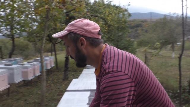 Последняя работа с пчелами в этом году 30.09.2019 смотреть онлайн