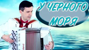 🌊У ЧЕРНОГО МОРЯ - поет баянист Вячеслав Абросимов