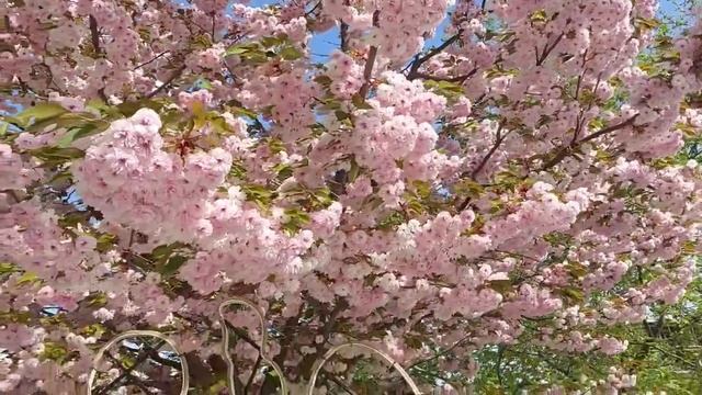 И к нам пришла весна