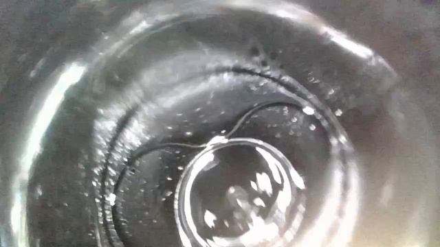 bls.mp4 смотреть онлайн