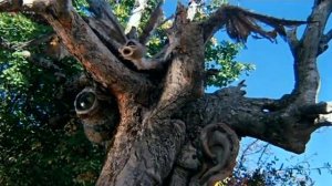 Лиловый шар 1987