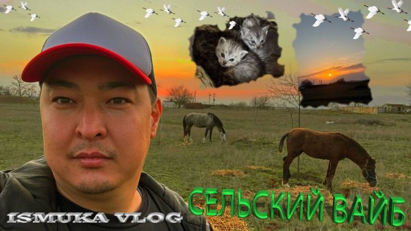 Сельский вайб / влог ISMUKA / лайф контент