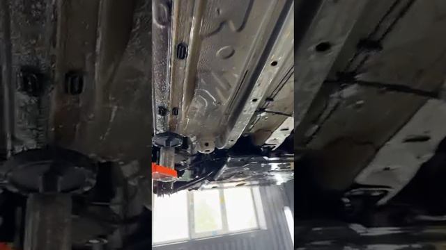 Про Кодиак к D2