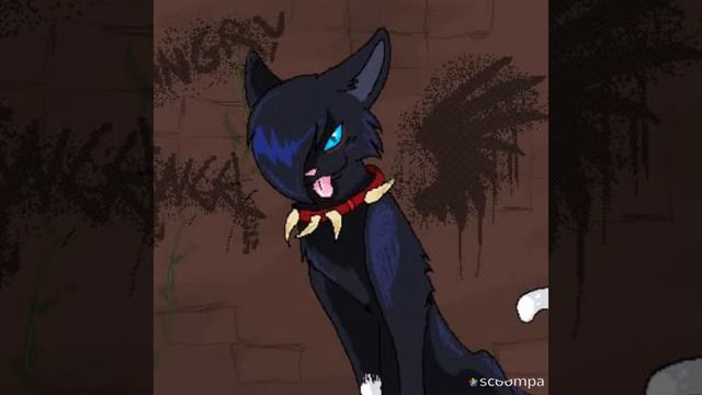 Коты Воители. Это видео посвящается бичю. Песня День Ночь руки прочь. смотреть онлайн