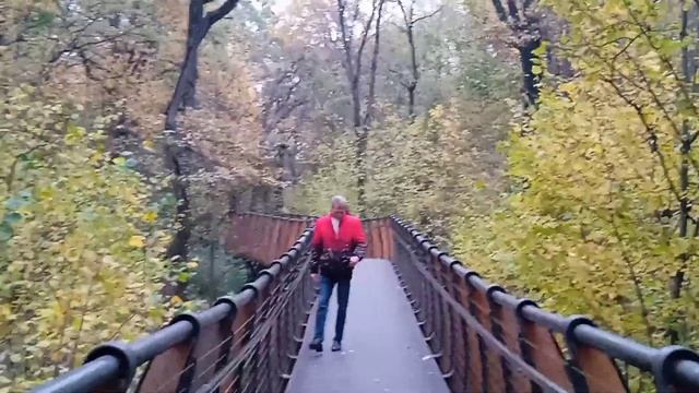 В саду горит костёр Рябины красной... смотреть онлайн