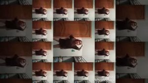 Танец але але але