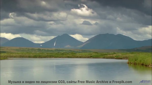 Этот клип - как луч солнца в пасмурный день! - Wayside -- Renata Zeiguer -- Live at WFMU for Sophist