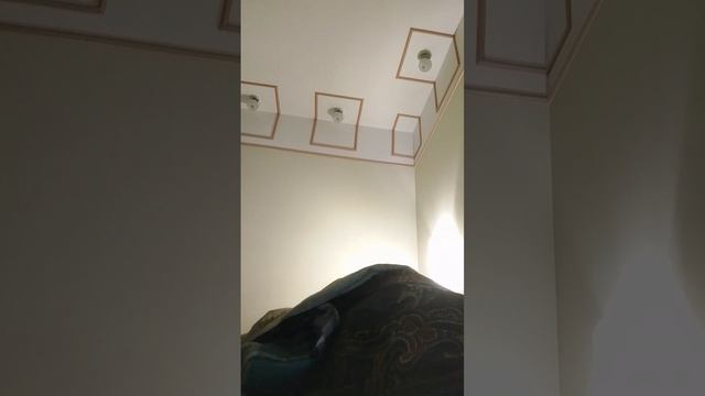 приведение👻 смотреть онлайн