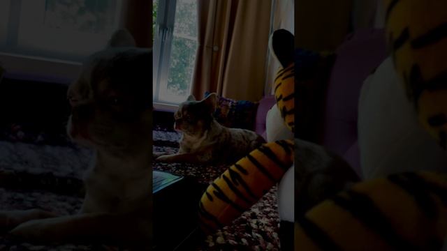 У косьмы нет света часть 2