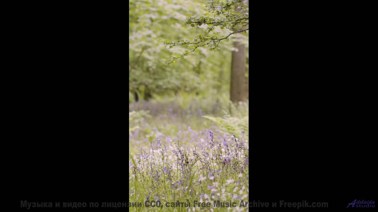 Что скрывают эти горы Смотри ДО КОНЦА! - Chainlink Melody -- Podington Bear -- Said Lion To Lamb (Bo